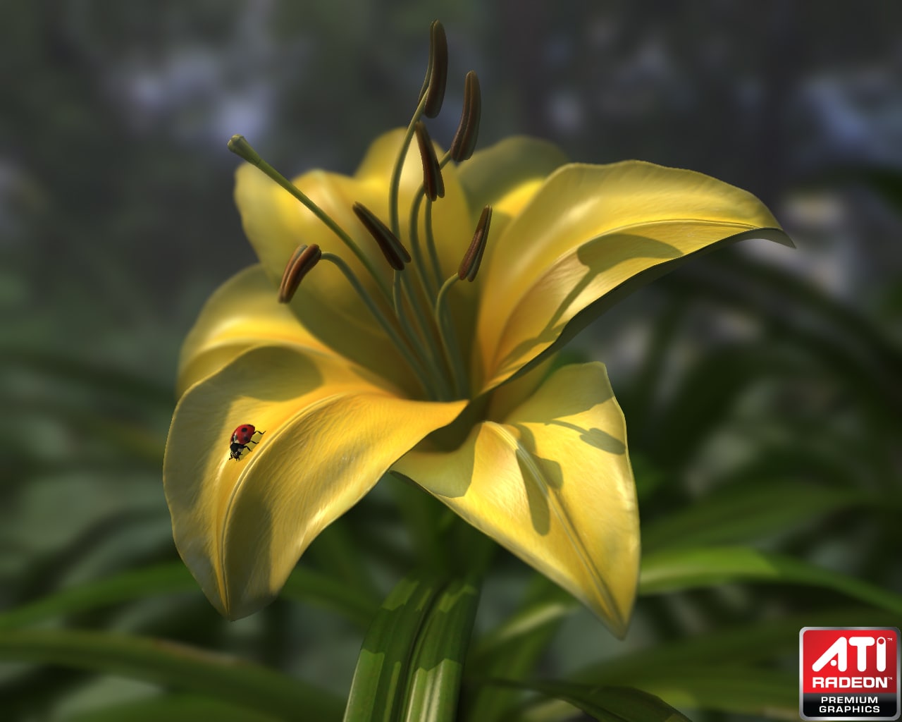 Radeon™ HD 5000 Series Graphics Real-Time Demos - Ladybug demo