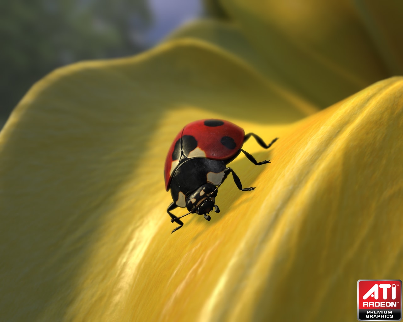 Radeon™ HD 5000 Series Graphics Real-Time Demos - Ladybug demo